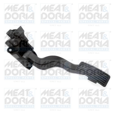 Accelerator Pedal Unit
